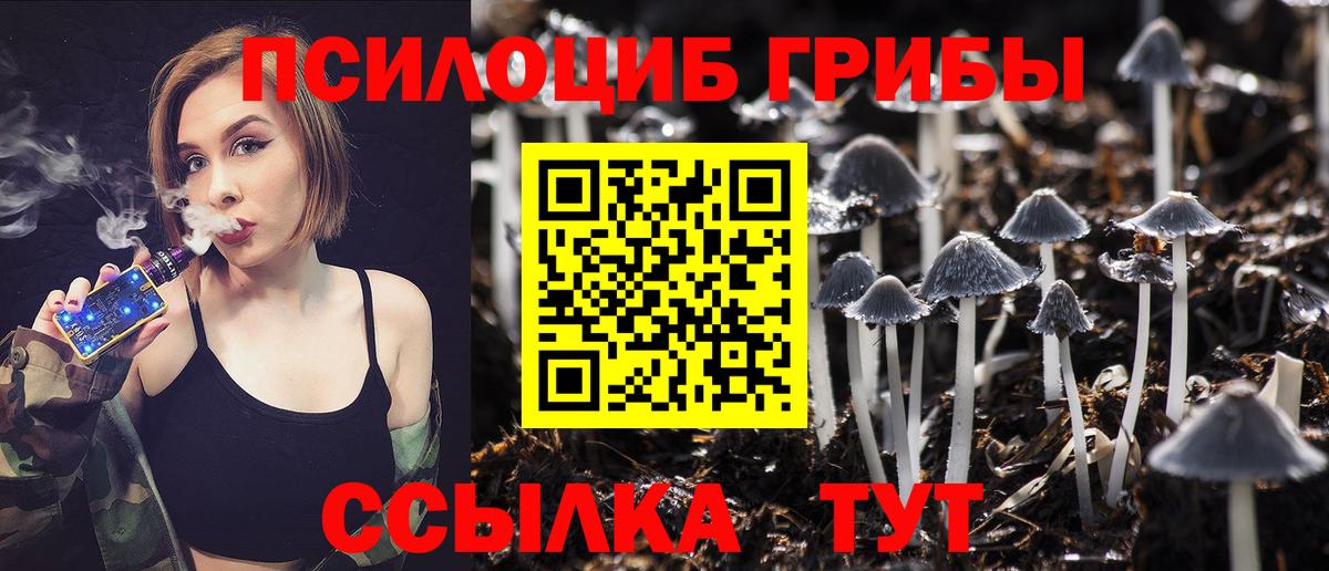 Галлюциногенные грибы Psilocybine cubensis Мегион