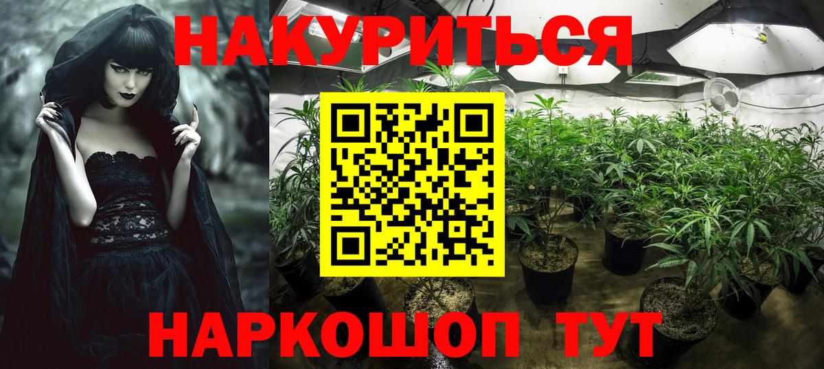 Шишки марихуана Amnesia Мегион